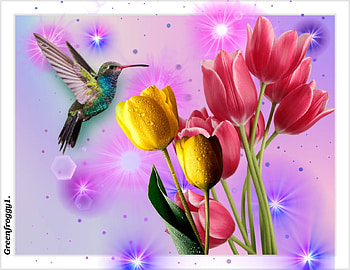 BIRD AND TULIPS, ART, TULIP, BIRD, ABSTRACT HD wallpaper