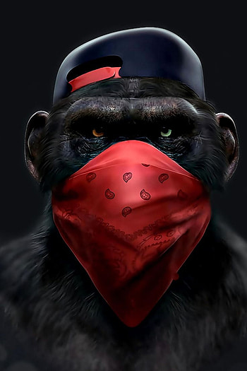 Banksy Dj GorillaThinking Monkey Heads3 wise swag. Etsy. Monkey art, Monkey , Swag poster, Cartoon Gorilla HD phone wallpaper