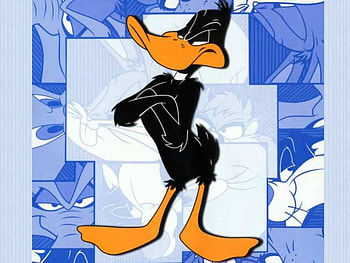 Folded Arms, cartoon, daffy duck, smug face HD wallpaper