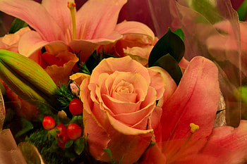 Beautiful Roses, roses, gorgeous roses, bouquet of roses, pretty roses HD wallpaper
