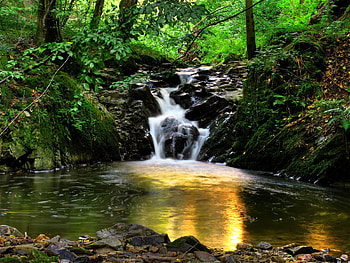 Nature, Trees, Reflection, Waterfall, Vegetation, Flow, Austria, Klein-Pöchlarn, Klein-Pehlarn, Stream, Overflow, Overflows HD wallpaper