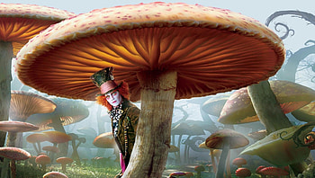 Alice in Wonderland (2022) movie HD wallpaper