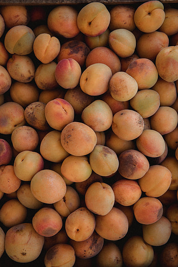 Fruits, Food, Ripe, Apricots HD phone wallpaper