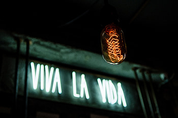 Neon, Dark, Illumination, Lighting, Light Bulb, Electricity HD wallpaper