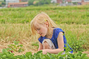 little girl, childhood, blonde, fair, houses, nice, adorable, bonny, sweet, Belle, white, Hair, girl, grass, comely, sightly, pretty, green, face, nature, lovely, pure, child, graphy, cute, baby, , set, Nexus, beauty, kid, beautiful, people, little, pink, dainty HD wallpaper