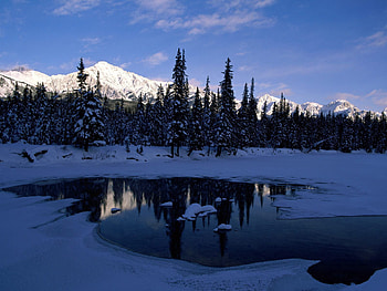 Nature, Trees, Mountains, Ice, Lake, Forest, Shadow, Morning HD wallpaper