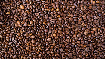 Roasted, Coffee Beans HD wallpaper