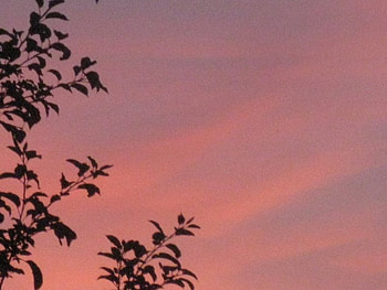Bulgaria sky, bulgaria, , tree, sunset HD wallpaper