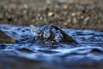 River, water waves, calm, close up HD wallpaper