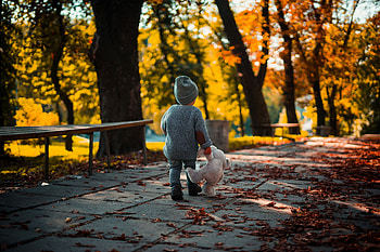 Autumn, Teddy Bear, Miscellanea, Miscellaneous, Stroll, Child HD wallpaper