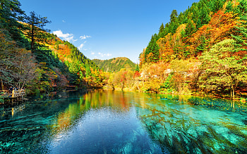 Autumn Lake, Park, Nature, China, Trees HD wallpaper