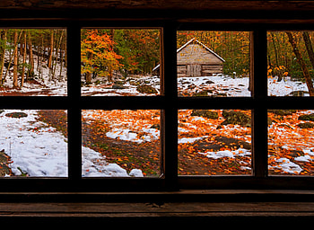 First Snow, winter, leaves, window, autumn splendor, fall, autumn, nature HD wallpaper
