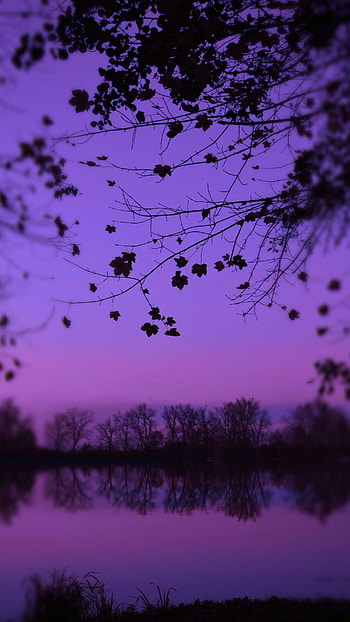 Purple Aesthetic, Purple Nature Spot HD phone wallpaper