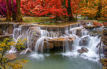 Nature, , Waterfall, Fall, Forest, Tree, Waterfalls HD wallpaper