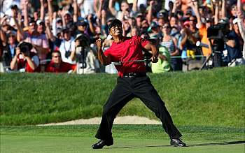 Tiger Woods, Golfing legend, Dynamic athlete, Striking portrait HD wallpaper