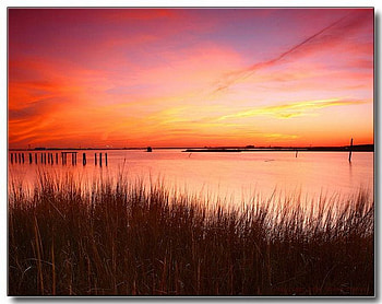 Pink Sunset, pink, beautiful, , sunset HD wallpaper