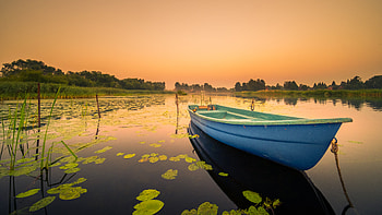 Boat Lily Water Lake, boat, lake, graphy HD wallpaper