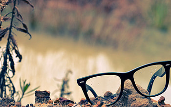 Grass, Stones, Miscellanea, Miscellaneous, Rose Flower, Rose, Lenses, Spectacles, Glasses HD wallpaper