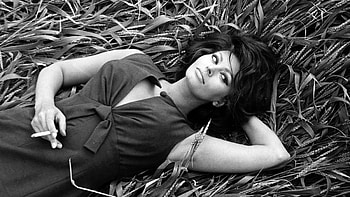 Sophia Loren movies, Top , Stunning backgrounds, Classic beauty HD wallpaper