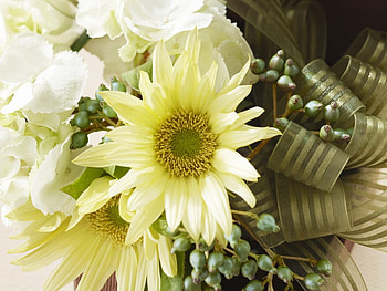 Happy birtay ;), white, day, birtay, present, happy, flowers, special HD wallpaper