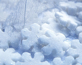 snow dreamer, white, snow, cold, cool, cure others HD wallpaper