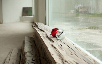 Rain, Miscellanea, Miscellaneous, Glass, Window, Vases HD wallpaper