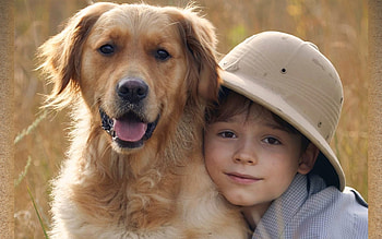 Best Friends, dog, boy, friends, hat HD wallpaper