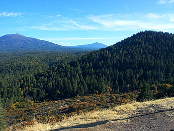 Nature, Trees, Grass, Mountains, View From Above, California HD wallpaper