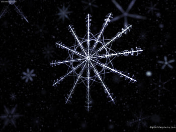 Snowflake, gray, white, black HD wallpaper