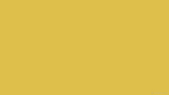 one colour yellow single plain solid color HD wallpaper