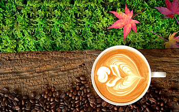 Cappucinno, coffee, cauppicinno, design, drink HD wallpaper