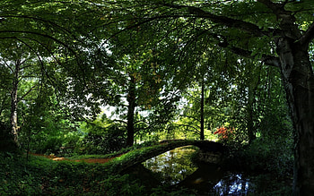 Landscape, Rivers, Bridges, Trees HD wallpaper