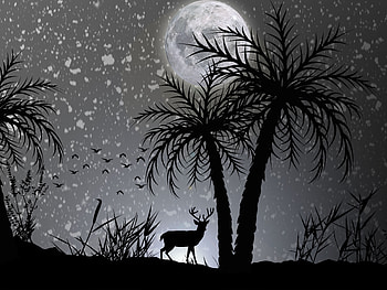 Reindeer Dark Night Moon Minimalist, reindeer, deer, dark, moon, minimalism, minimalist, monochrome, black-and-white HD wallpaper