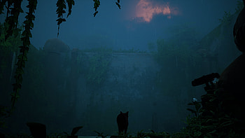Stray rain, Stray, video game, cat HD wallpaper