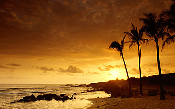 Beautiful Beach, nature, tropical, sunset, beach HD wallpaper