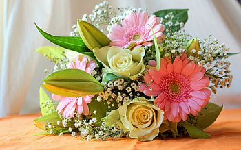 Plants, Flowers, Bouquets HD wallpaper