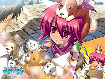Koihime Musou, dog, cute, anime HD wallpaper