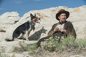 In The Valley Of Violence, dog, violence, cowboy, valley HD wallpaper