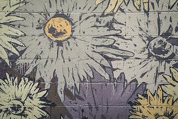 Textures, Flowers, Texture, Paint, , Drawing, Wall, Graffiti HD wallpaper