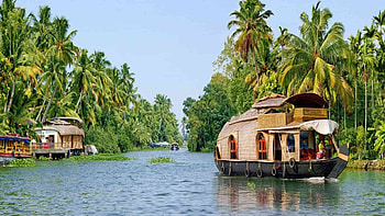 Kerala's allure, Southern gem, Nature's paradise, Enchanting beauty HD wallpaper
