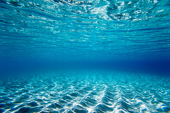Ocean Underwater Graphic Background for Powerpoint Templates - PPT Background, Under Sea HD wallpaper