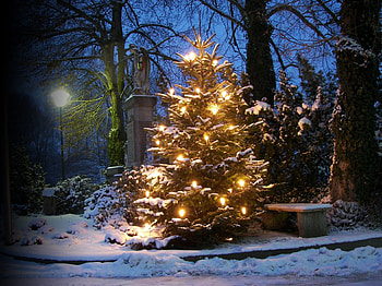 Christmas Night, decoration, light, snow, winter nature, tree HD wallpaper