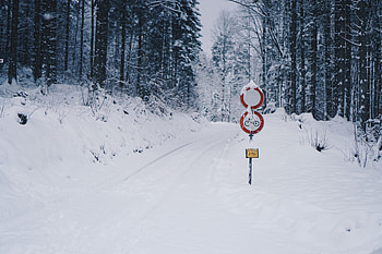Winter, Snow, Miscellanea, Miscellaneous, Road, Forest, Pointer HD wallpaper