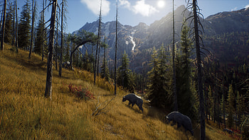 Way of the Hunter, video game, Way of the Hunter HD wallpaper