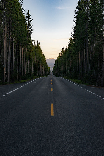 Nature, Trees, Mountain, Vertex, Top, Road HD phone wallpaper