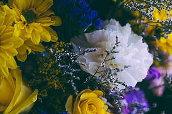 Flowers, Multicolored, Motley, Bouquet, Composition HD wallpaper