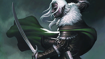 Neverwinter Other Drizzt Do'Urden's Ally HD wallpaper