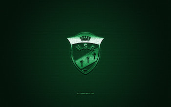 US Biskra, Algeria football club, green logo, green carbon fiber background, Ligue Professionnelle 1, football, Biskra, Algeria, US Biskra logo HD wallpaper