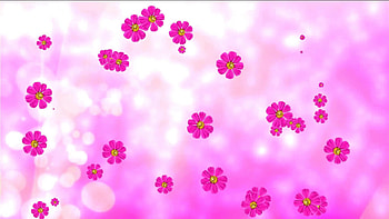 Purple animated flowers and pink background. Flower background. Stock footage in . - YouTube HD wallpaper