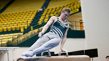 Keaton Ackerman, Pommel Horse (Gymnastics) HD wallpaper